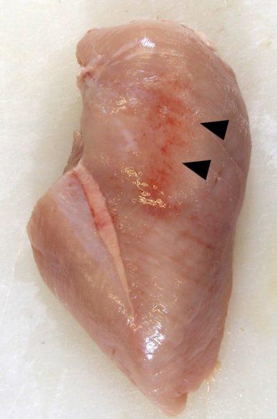 酪農学園大学の長谷川靖洋助教が、世界的に増加しているブロイラーの異常胸肉に関する研究報告を発表 — 同大の全学的な取り組みの成果、国際学術雑誌『Animal Science Journal』に掲載