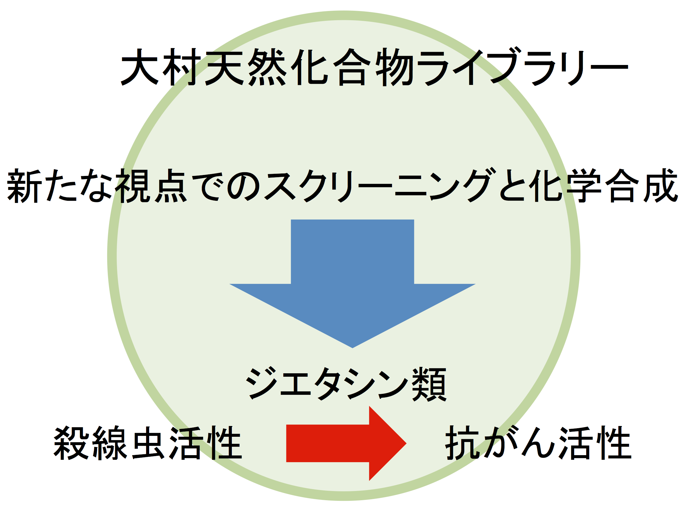 殺線虫活性を有する大村天然化合物ライブラリー由来ジエタシンAをリード化合物とする新規NF-κB阻害薬の開発と抗がん剤としての応用の可能性 — 北里大学