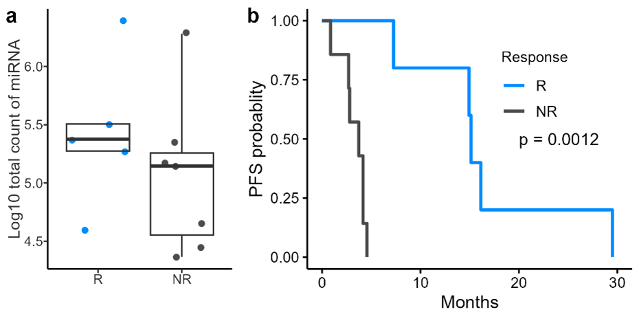 【東京医科大学】尿中miRNAを用いた進行性尿路上皮癌に対する免疫治療効果予測バイオマーカーの開発　～免疫治療が奏功する患者を層別化し、個別化医療に貢献する～
