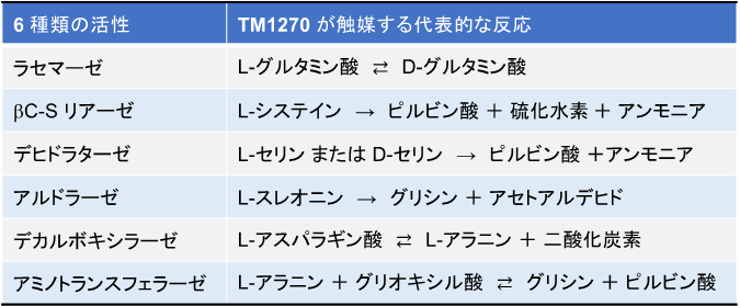6種類の機能を持つD-アミノ酸代謝酵素を初期の生命から発見–北里大学