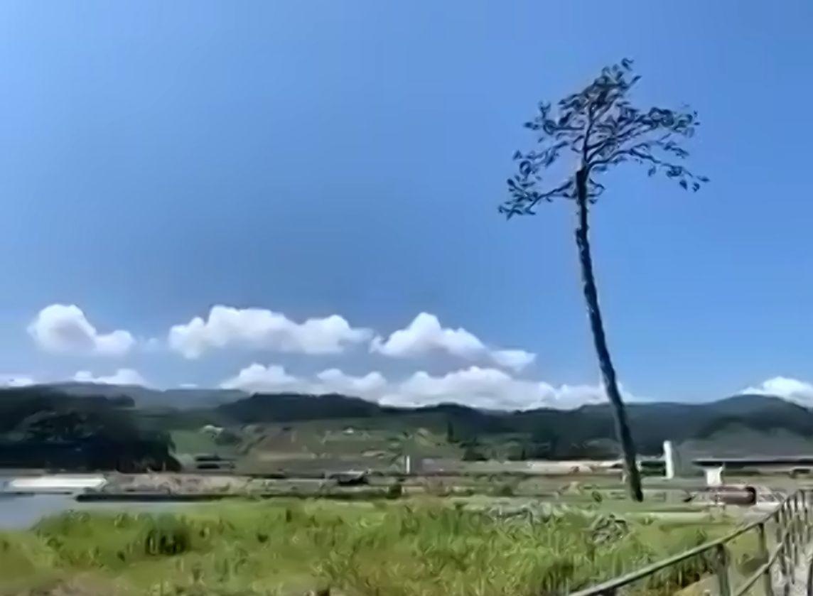 清泉女子大学地球市民学科が「陸前高田バーチャル・フィールドワーク」を実施 — オンラインで震災遺構や中心市街地を訪問