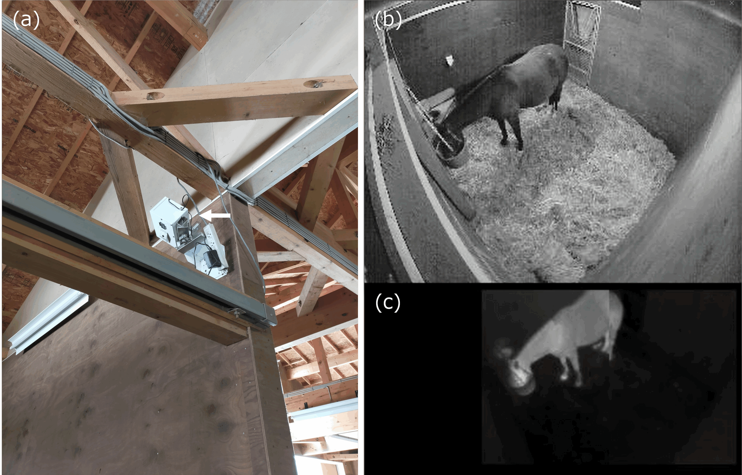 北里大学獣医学部とノーリツプレシジョン株式会社が『画像認識AIで繁殖牝馬の分娩兆候を検出するシステム』を開発
