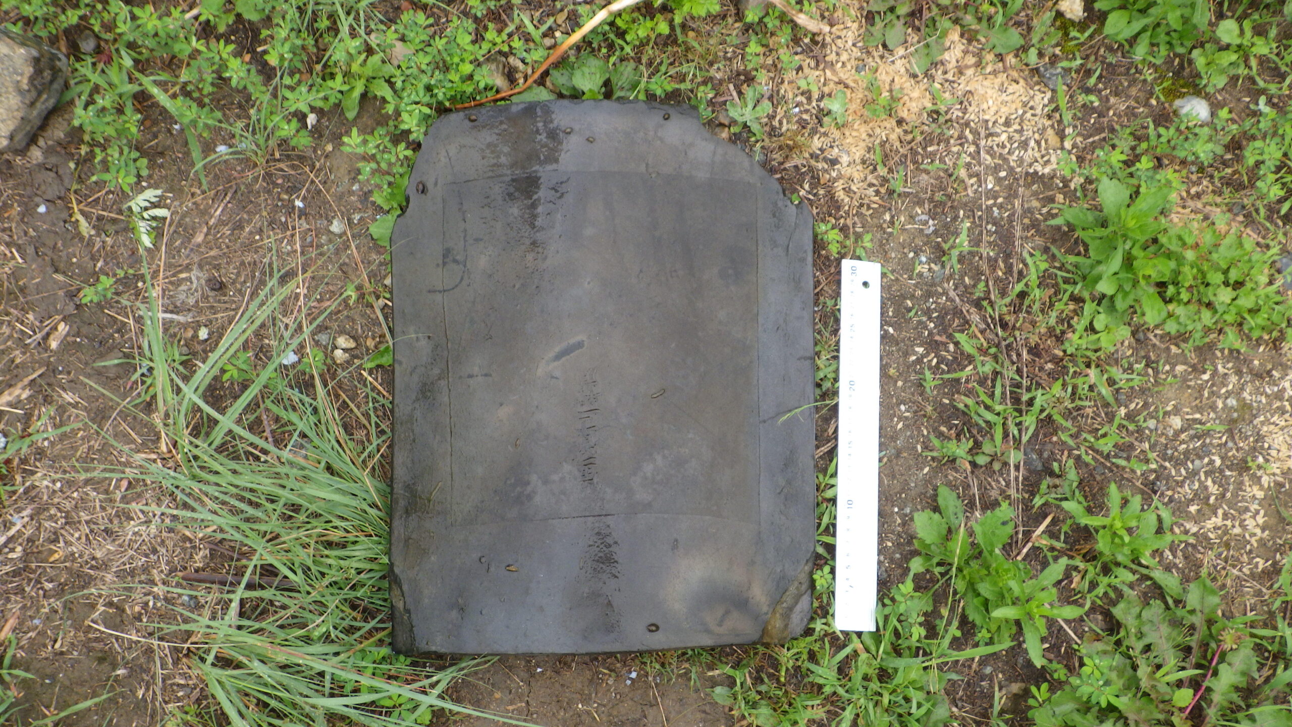 猿沢池に興福寺の258年前の古瓦で魚礁を設置　池の生態系保全と観光資源の価値向上をめざす