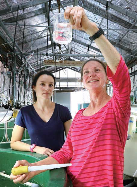 全米熱帯マグロ類委員会との共同研究を実施 — 近畿大学