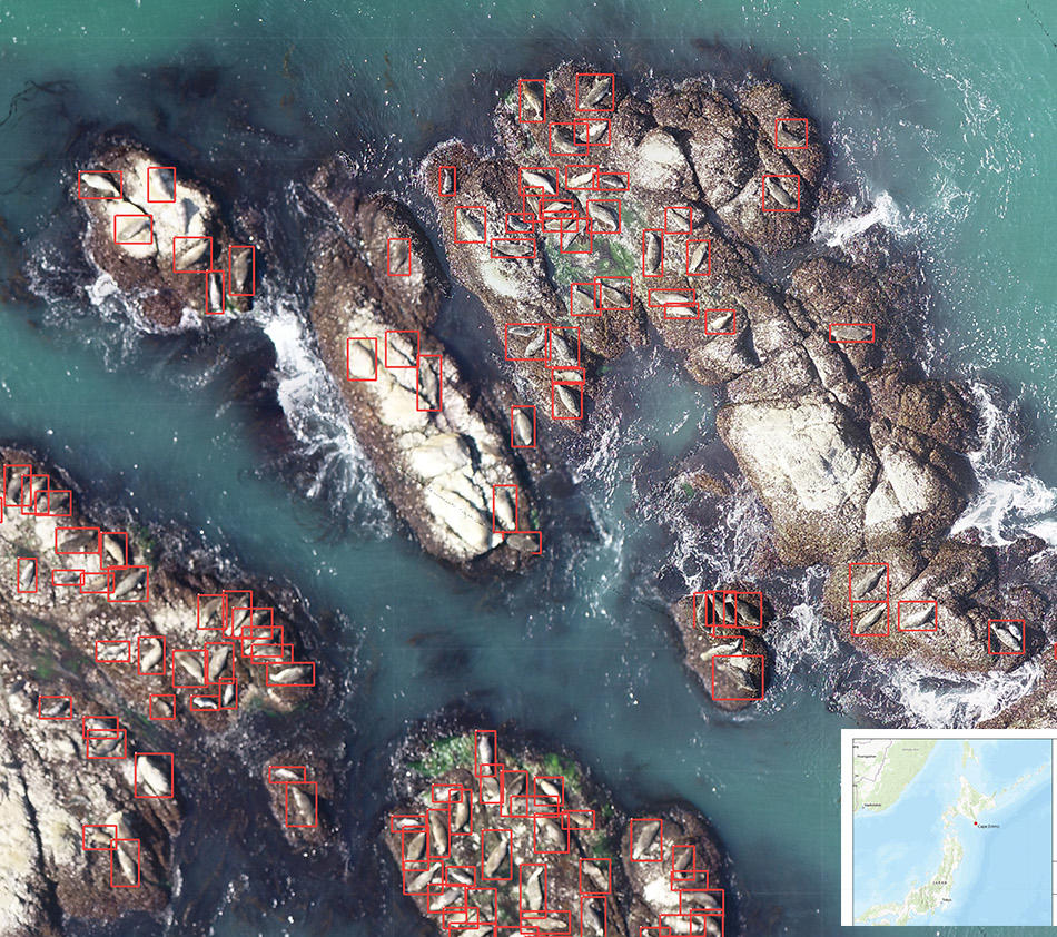 【酪農学園大学】農環境情報学類（2026年4月開設）に所属予定の小川健太准教授がドローンを活用した野生動物カウントの研究を推進 ―「Esri Map Book」に掲載