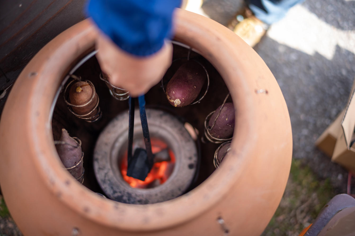 【kuru,ru. /大野バイシクルベ―スと国際高等専門学校、白山ろく里山活性化協議会との協同で】「紅はるか祭り」×「kuru,ru.コラボ企画」11月29日開催