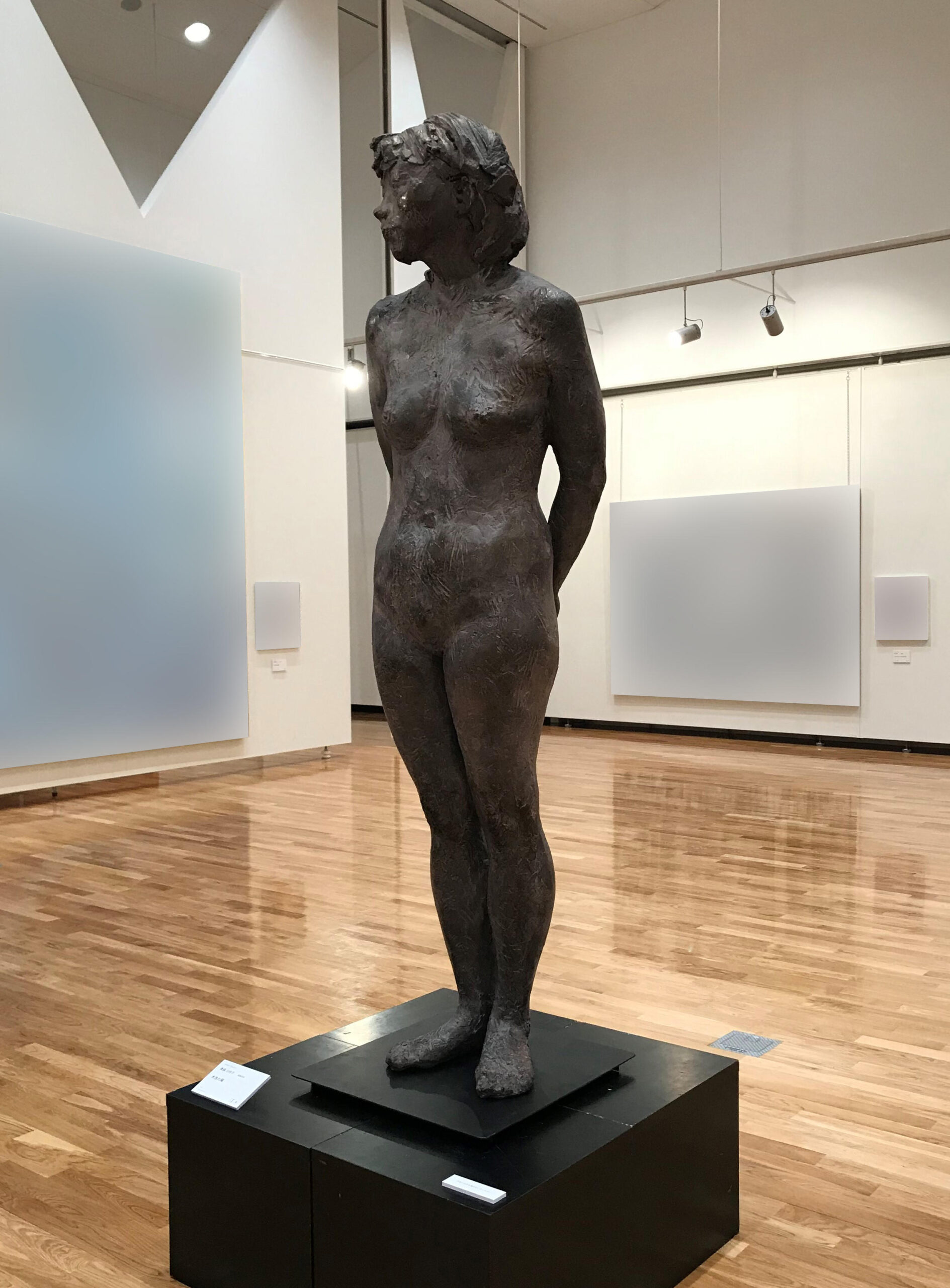 崇城大学 芸術学部 創立以来”初”！　大学院生が「改組 新 第7回 日展」で特選を受賞