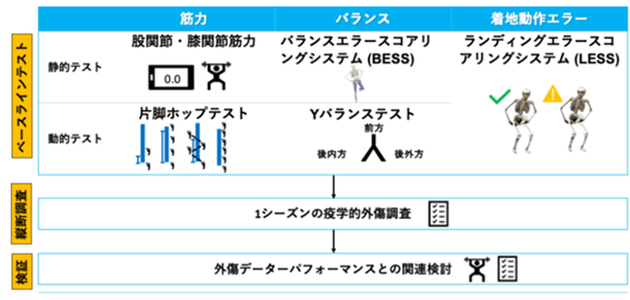 【帝京平成大学・筑波大学】ラグビー選手のパフォーマンスを定量化し膝関節外傷リスク因子を特定