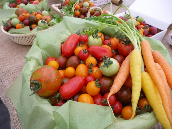 産学連携企画「新世代アグリイノベーター育成講座」【メインセミナー】ゲストトークセッションの登壇者4名が決定 — 明治大学