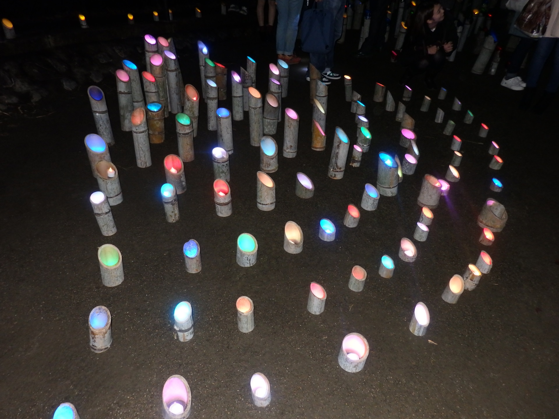 実践的な学びを地域の力に　学生視点で京都府井手町の魅力を発信 — 京都産業大学