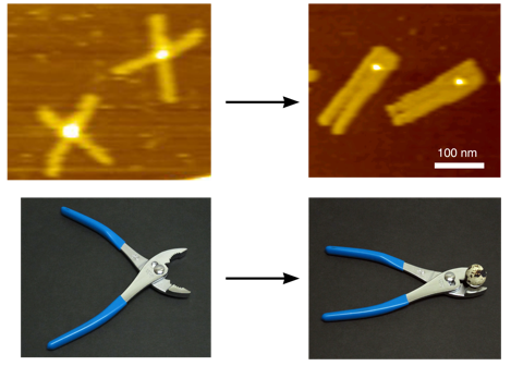 ■ 関西大学化学生命工学部・葛谷明紀教授が、「気がるに健康チェック」サービス提供中の医療ＩＴベンチャー・セルスペクト株式会社との共同研究拠点を開設 ■ 簡便な多項目測定を可能にする新規アッセイ系の構築をめざす