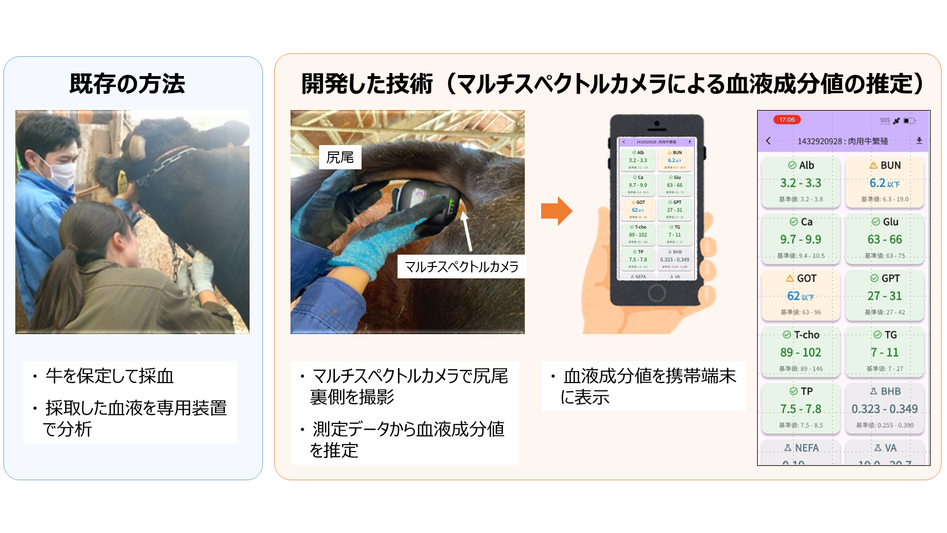 採血せずに牛の血液検査を実現する画期的技術を開発（北里大学）