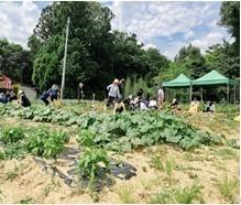 相模女子大学・相模女子大学短期大学部「Sagami チャレンジプログラム」にて学生が福島県で社会貢献活動を行います