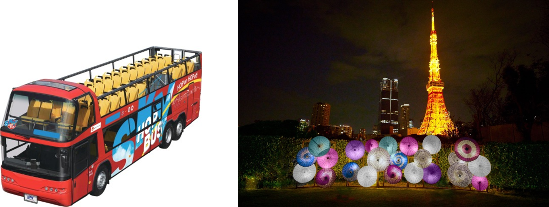 立教大学×日の丸自動車興業・スカイホップバス　産学共創　涼夜景！インバウンド向けバスツアーTOKYOサマーナイトブリーズ