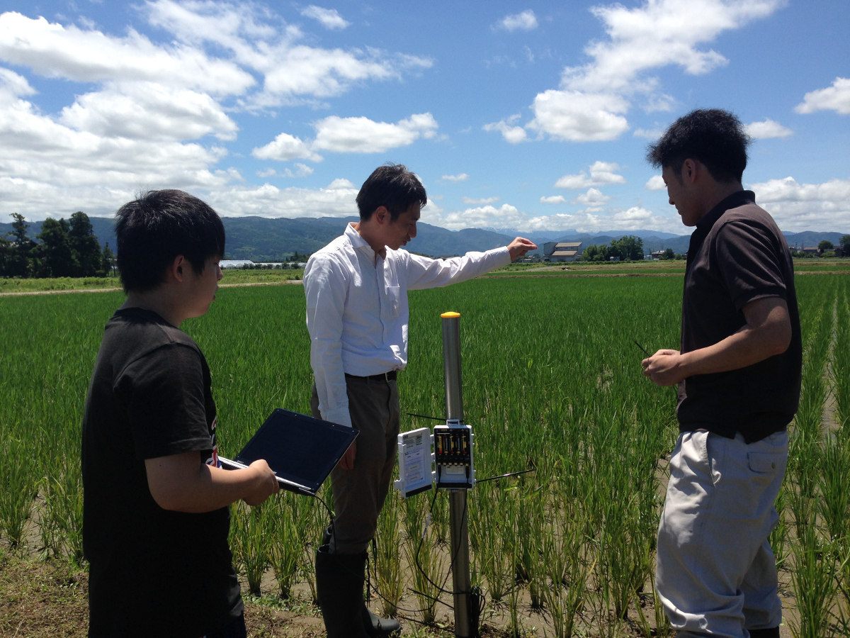 学生による課外活動プロジェクト「Project One! ～農業イノベーション～」の活動成果をまとめた論文がIEEEの国際カンファレンスで採択 — 金沢工業大学