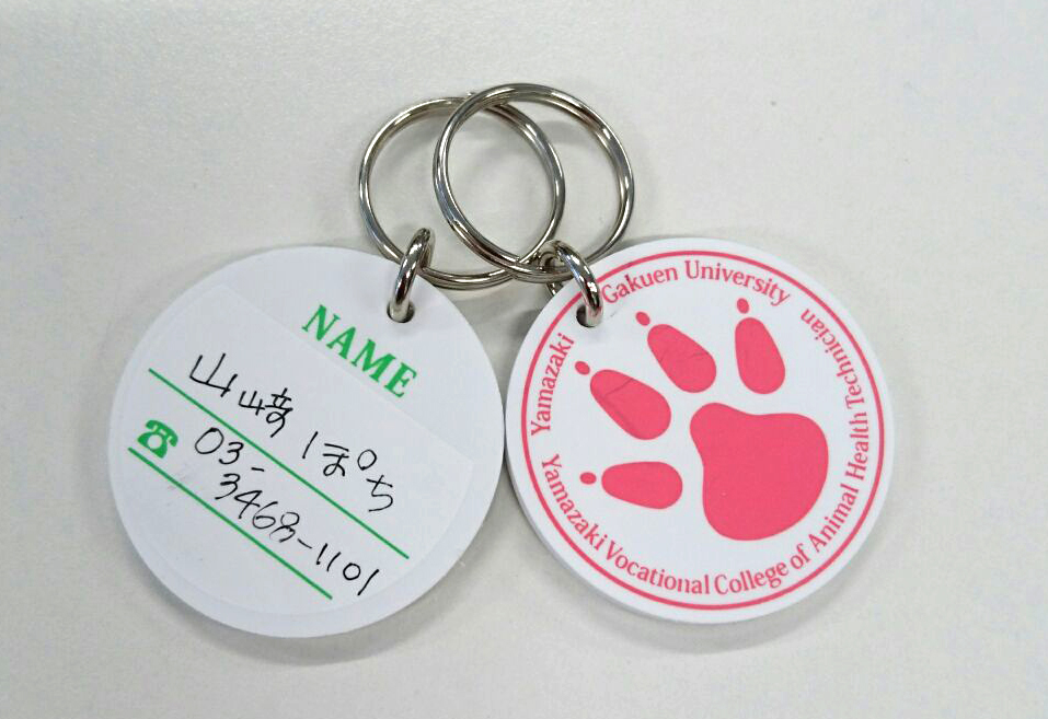 熊本地震における被災動物の支援として、飼い主とペットを繋ぐ迷子札を提供 — ヤマザキ学園大学