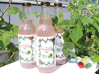 大阪電気通信大学の学生プロジェクトと東日本大震災復興支援会社が炭酸飲料「ソルティ・ラズベリー」を共同開発 — 6月15日から数量限定販売