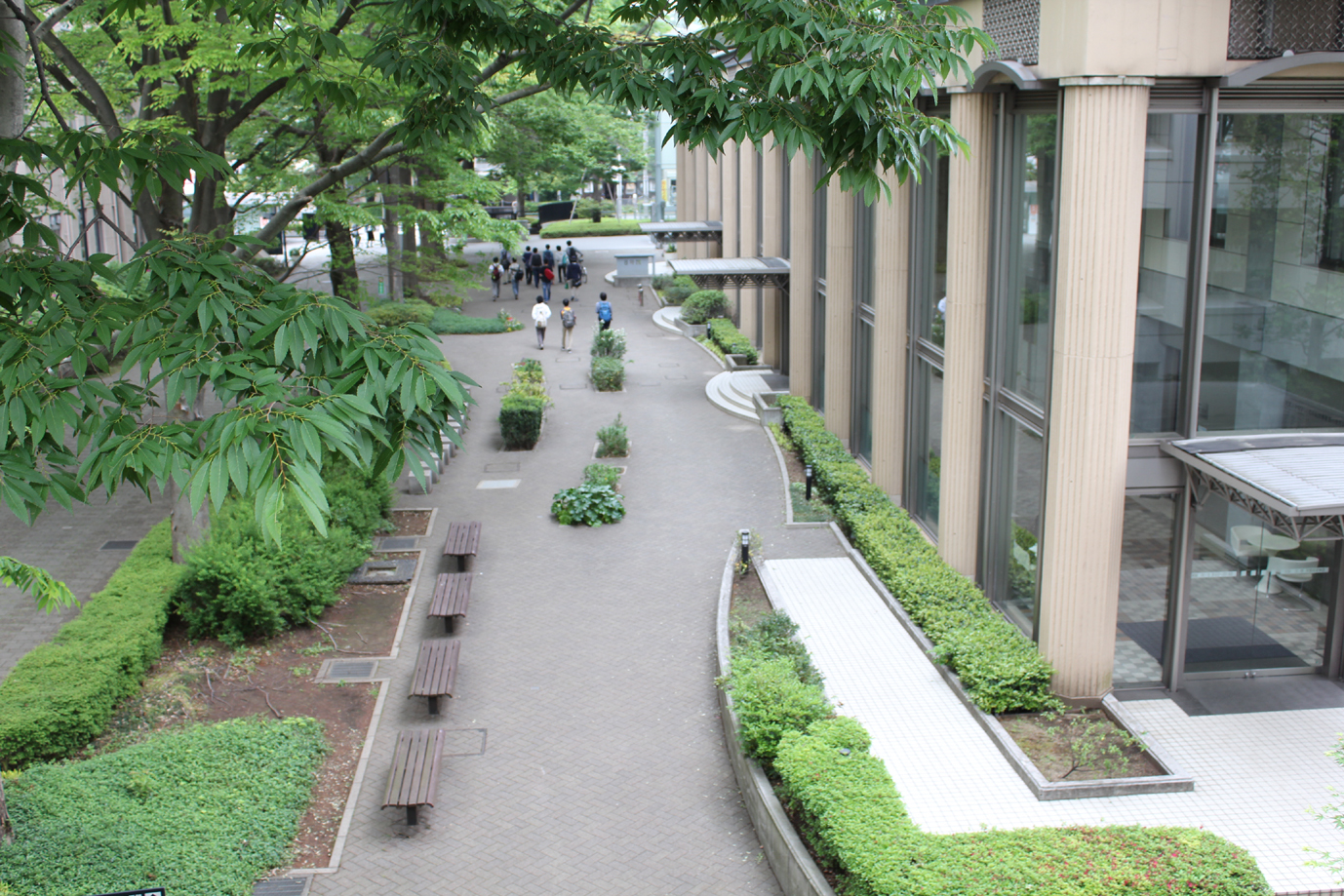 武蔵大学が2017年度一般入試より英語4技能の外部検定試験を活用した新方式「全学部統一グローバル型」を導入～真のグローバル市民育成に向けて