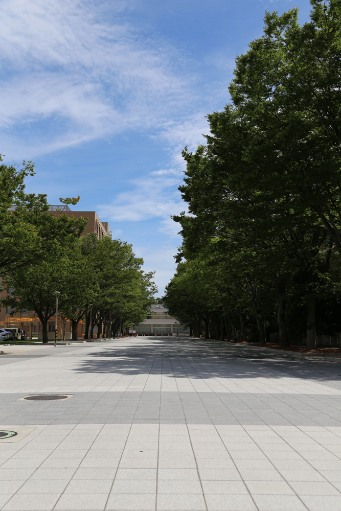 金沢大学が医学類プロムナード完成式および附属病院周辺整備事業完成式を挙行 — 宝町地区の再開発整備事業が終了