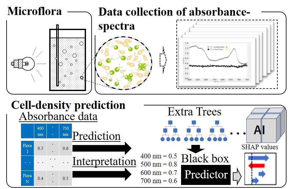 AIを用いた微生物混合液の各細胞密度の簡便な解析手法を開発　バイオプラスチックや食品の発酵生産などへ応用に期待　東京工科大学