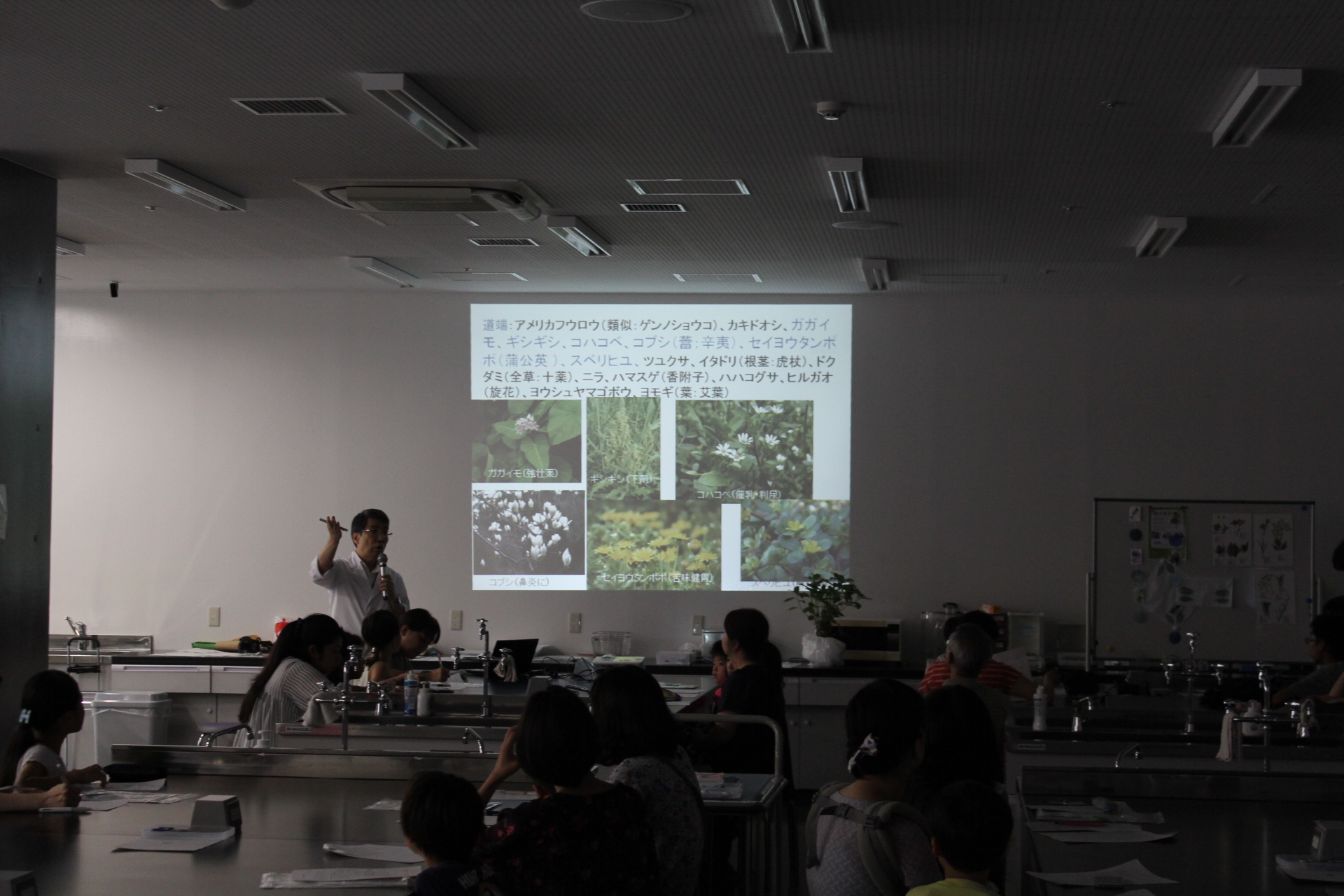 公開講座「夏休み親子薬草教室」を開催 — 帝京平成大学