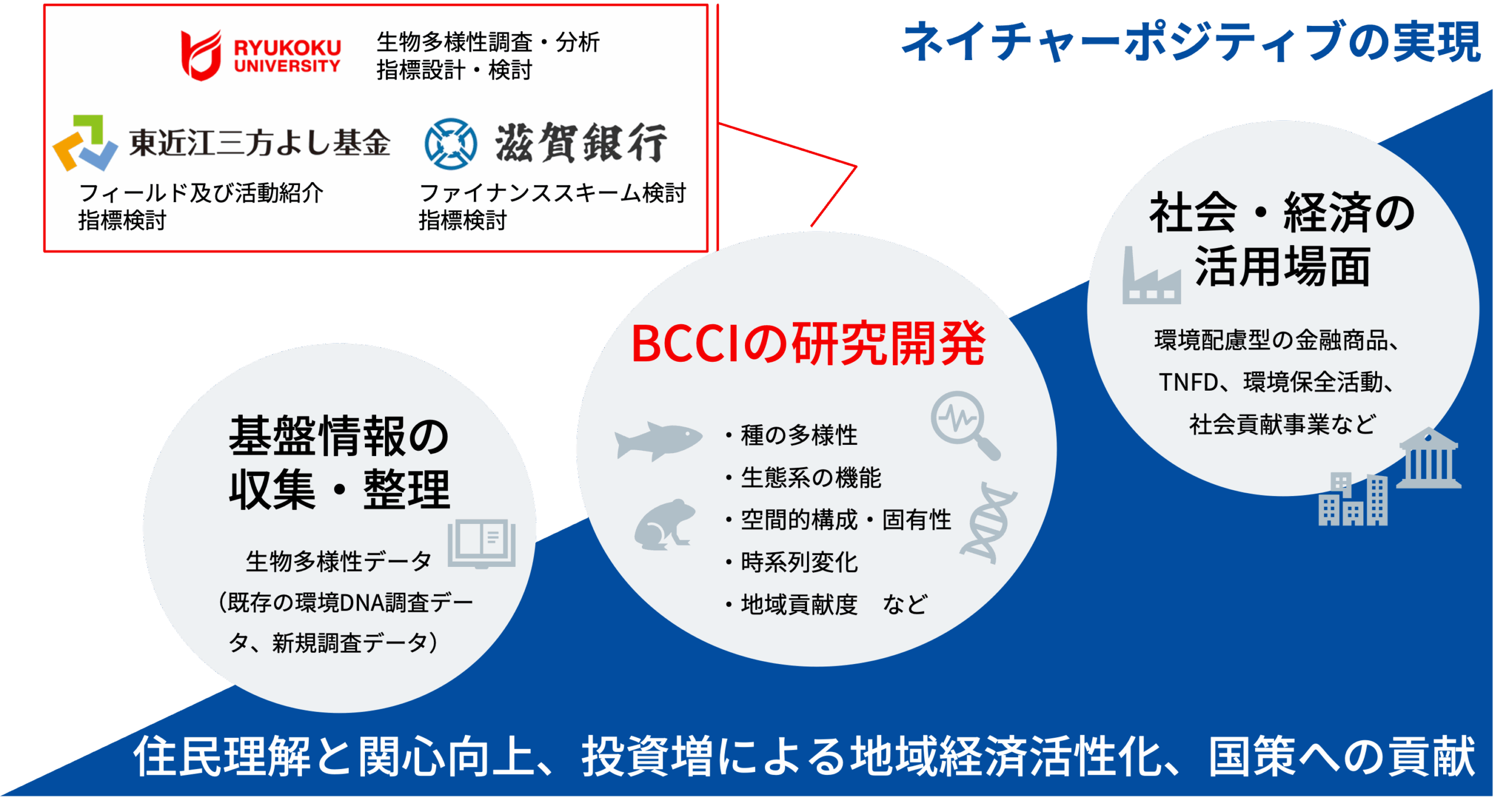 【龍谷大学】ネイチャーポジティブを滋賀から実現へ― 地域から自然資本と経済の好循環を生み出す「生物多様性保全総合指数（BCCI）」の研究開発を始動 ―