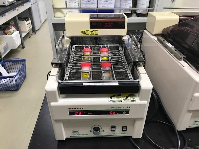 甘酒を飲んで、便通改善、コレステロール低減、肥満抑制。金沢工業大学応用バイオ学科尾関研究室が企業との共同研究で学術的に初めて実証