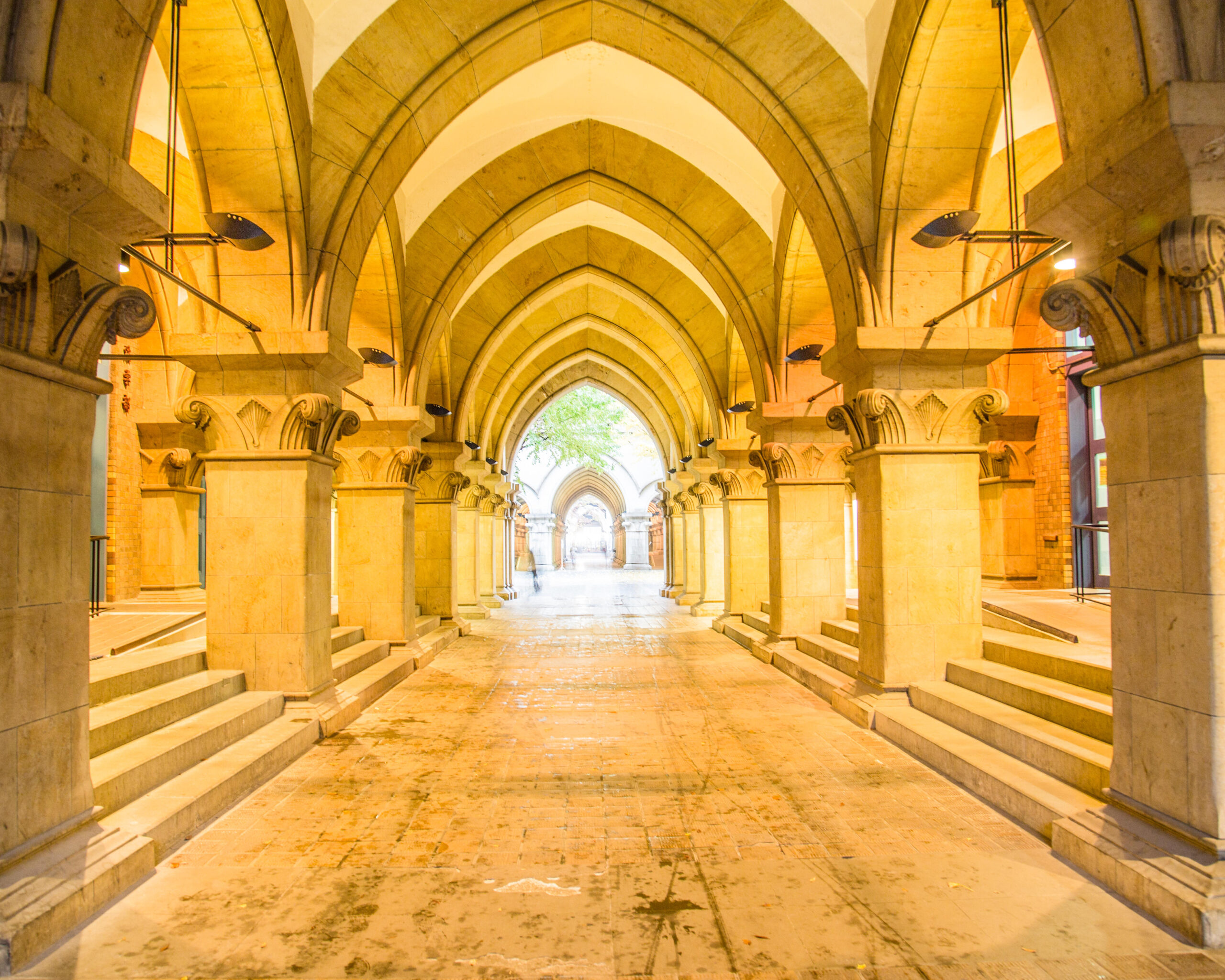 世界の研究者・知識人と新たな知を拓き、伝える。東京カレッジを開設 — 東京大学