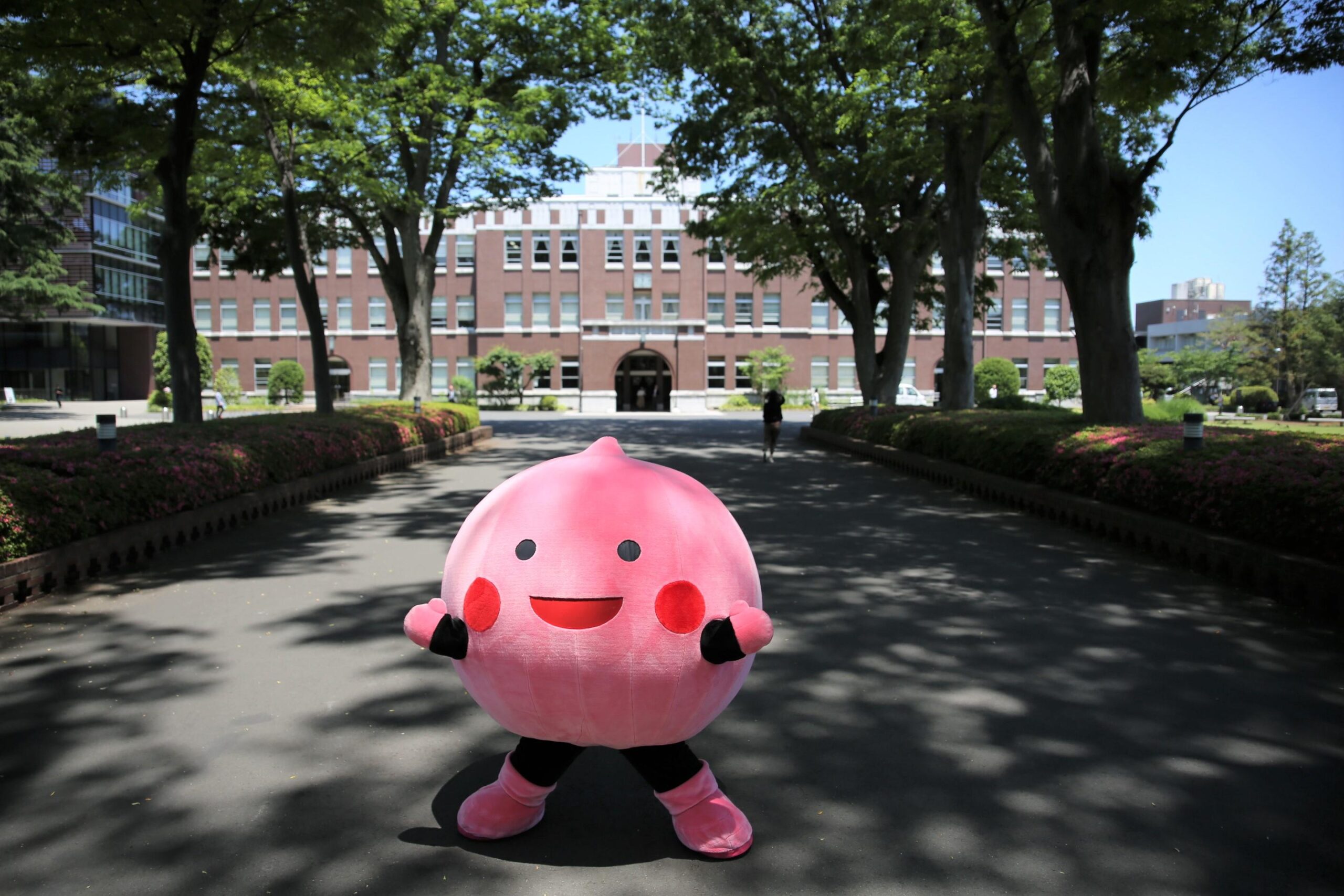 成蹊学園キャラクター「ピーチくん」のウェブサイトがオープン — コロナ禍の今こそ注目したい、困難を乗り越える”心の力”を育む成蹊教育