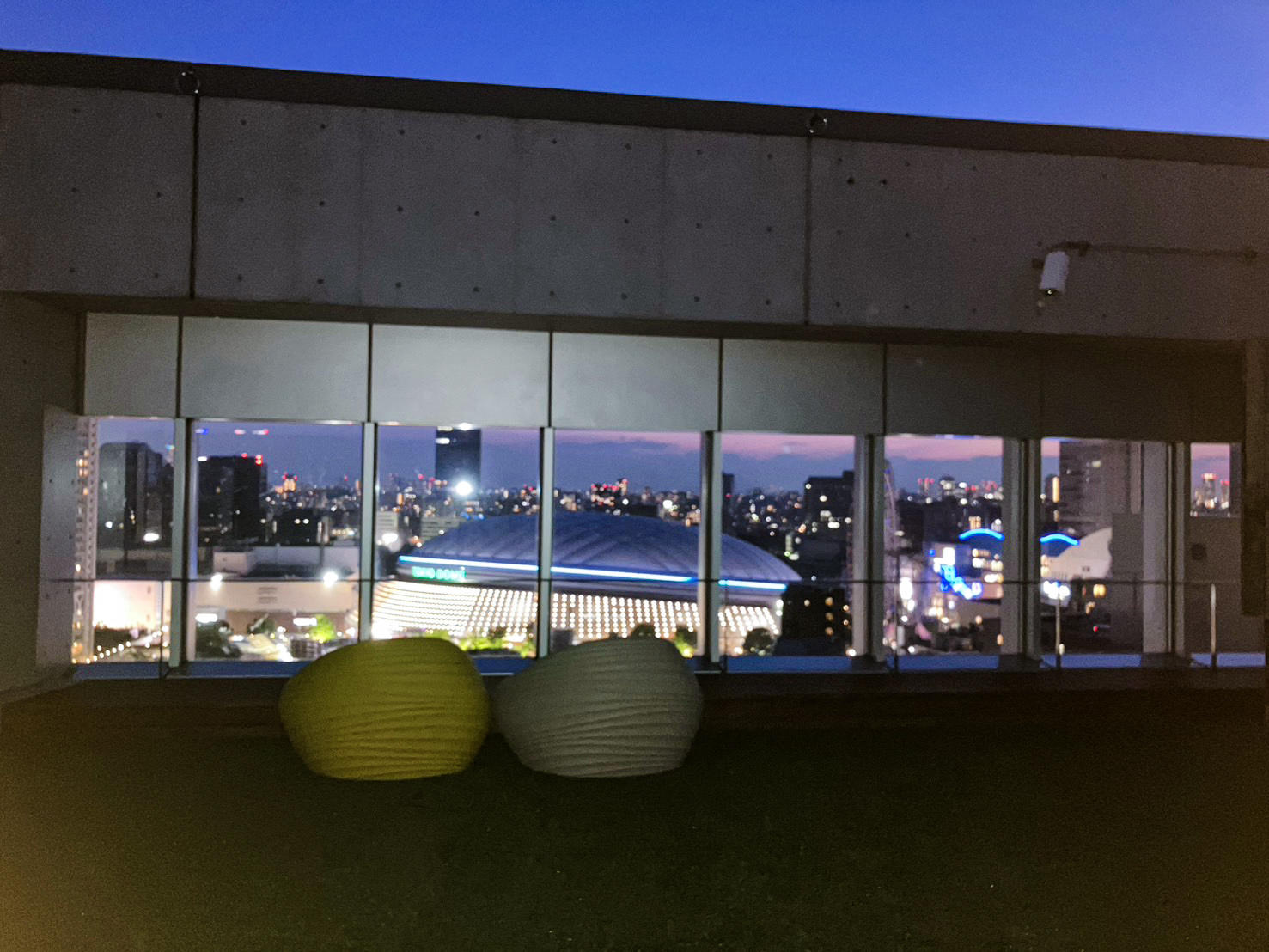 TOGAKU　OPEN　CAMPUS　2024　本学初、部活帰りに参加できるナイトオーキャンも実施　開催日：7月14日(日)、8月24日(土)、25日(日)