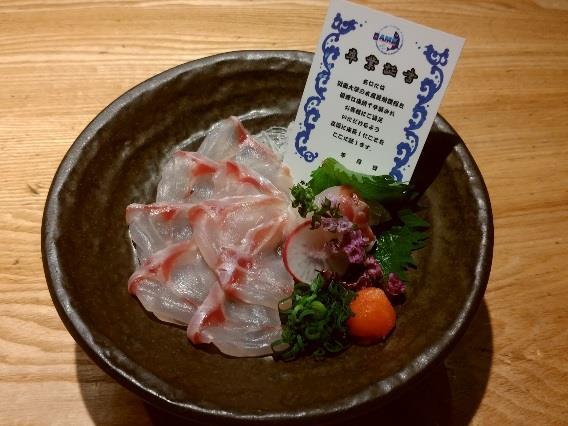 高級魚「マハタ」の特別メニューを期間限定で提供　4月26日から近畿大学水産研究所大阪店・銀座店にて