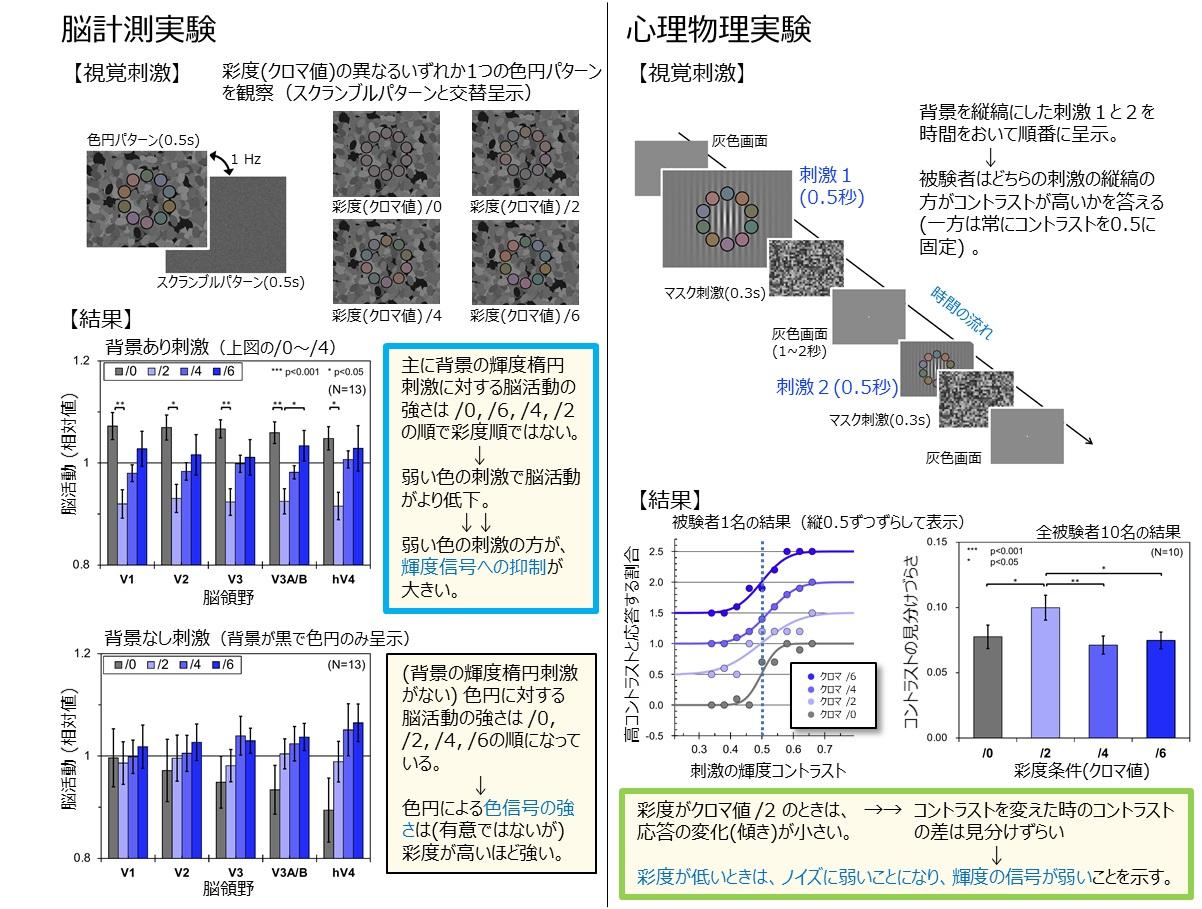 淡い色により知覚されるコントラストが減少するメカニズムを解明 ～ 色あせた写真は何故ぼやけて見えるのか ～ 金沢工業大学、高知工科大学