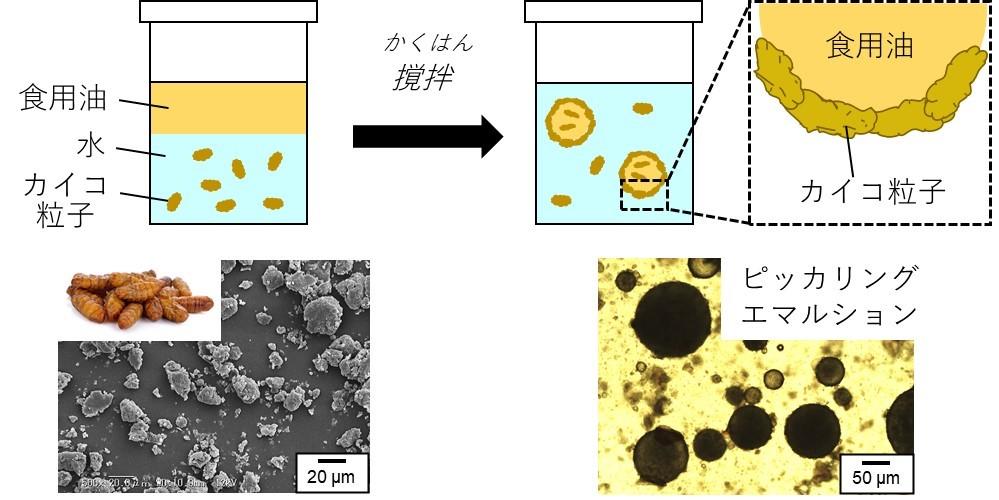 貴重なたんぱく源のカイコを食品利用”姿は見えない”粒子でドレッシングやクリームに — 大阪工業大学