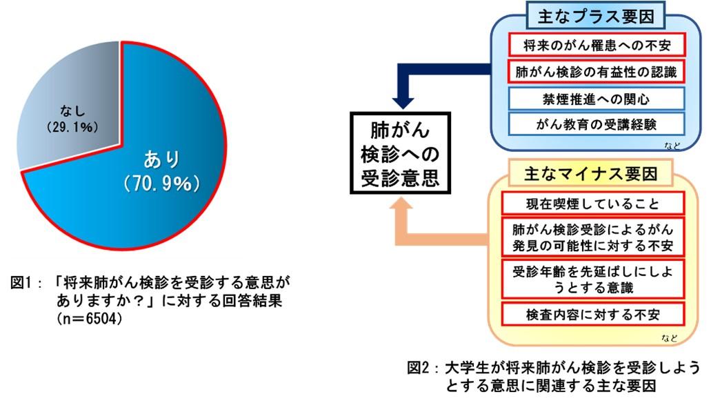 【中部大学】若年層の約7割が将来肺がん検診を受ける意思があることが調査で判明–肺がんによる死亡者を減らすため、さらなる教育も必要とわかる–