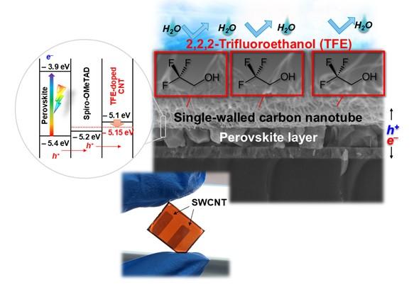 【名古屋大学】耐久性を大幅改善！フッ素系化合物を添加したカーボンナノチューブ電極を用いたペロブスカイト太陽電池を開発