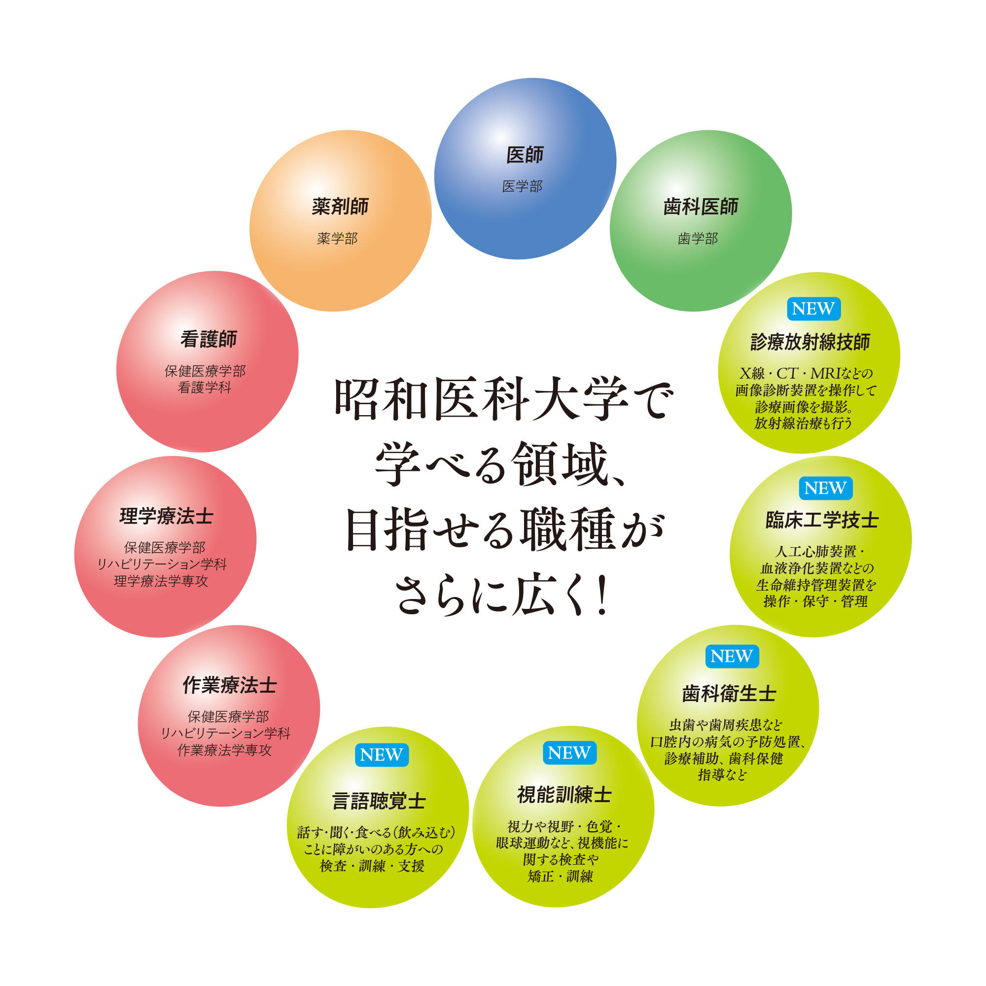 【昭和医科大学】2027年4月、保健医療学部に新学科・新専攻を開設（設置構想中） ― 昭和医科大学で学べる領域、目指せる職種がさらに広がります！