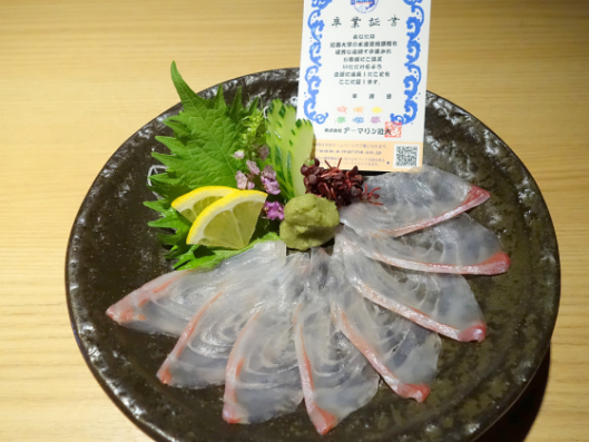 近大オリジナル養殖魚「キンダイ」を近畿大学水産研究所　大阪店・銀座店で提供