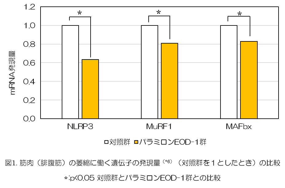 金のユーグレナ®（パラミロンEOD-1®）の摂取が筋肉細胞を太くする～筋萎縮に働く遺伝子の発現が抑制される～大妻女子大学の青江誠一郎教授と神鋼環境ソリューションの共同研究成果