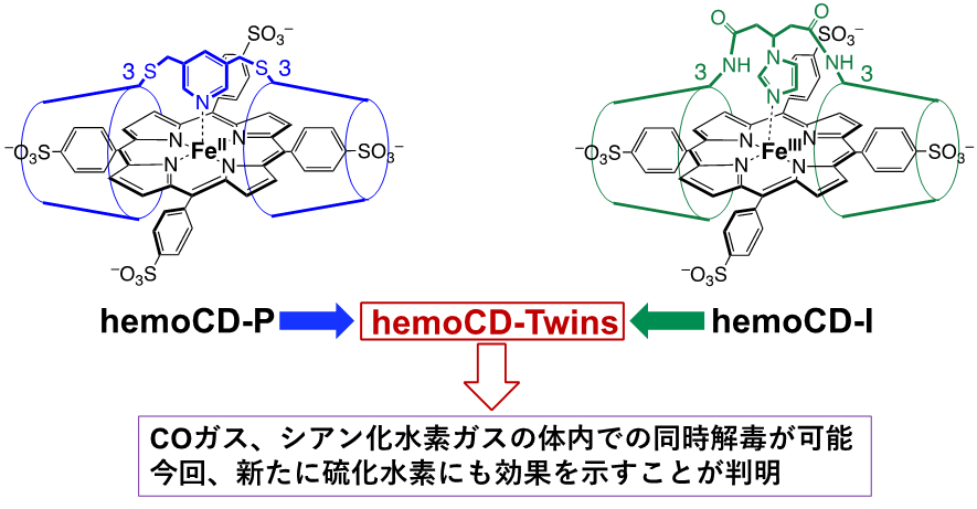 硫化水素中毒の解毒剤の開発に成功：複数のガス中毒に対応する救急救命医薬品としての実用化に期待