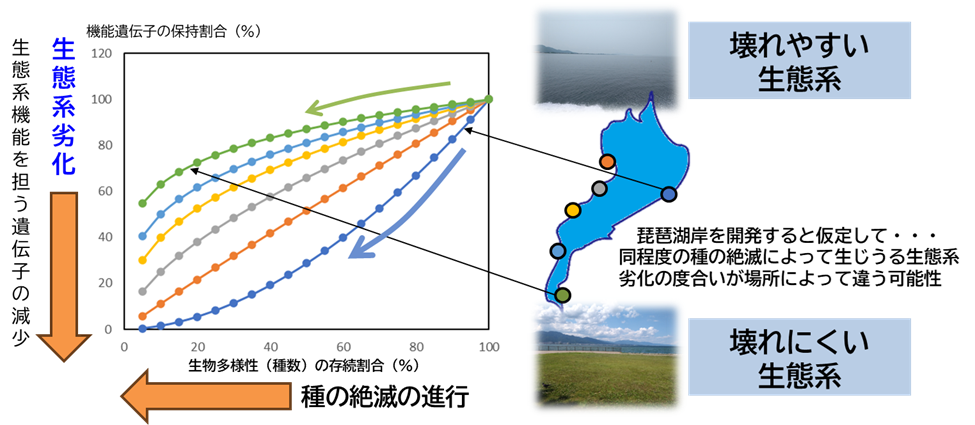 【龍谷大学】一杯の水・一掴みの土から生態系の壊れにくさを診断しよう　～細菌群集が担う生態系レジリエンス診断評価技術の開発～