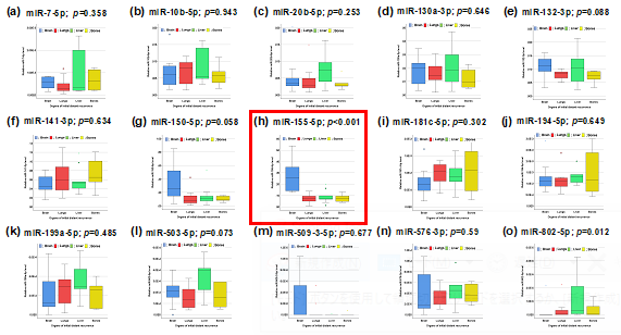 【東京医科大学】乳腺組織上のマイクロRNA発現に着目した乳癌脳転移再発予測バイオマーカーの探索
