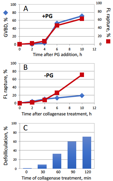 【京都産業大学】アフリカツメガエル卵母細胞の排卵および成熟過程の試験管内再構成に、世界で初めて成功 — International Journal of Molecular Sciences誌に掲載