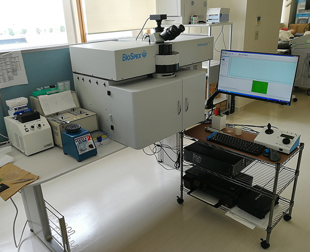 昭和大学などの研究グループが、ラマン分光法を応用した消化管（食道、胃）生組織のがん病変の迅速評価技術を開発 — 生体のリアルタイム診断実現に向け前進