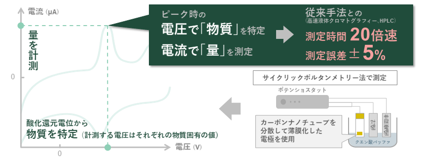 食品のポリフェノール含有量の簡便な測定手法を開発 — ポリフェノールによるウイルス感染予防を、より簡易で効果的に —