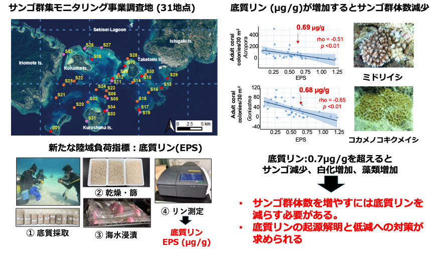 サンゴ保全のカギは陸域対策？―陸域影響の新たな評価方法の確立―（北里大学）