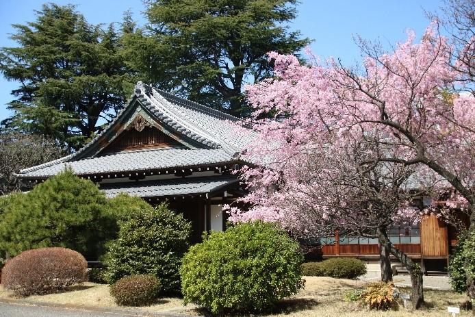 聖心女子大学が重要文化財「旧久邇宮邸」を一般公開 — 和風基調で建築された宮家本邸の唯一の現存例