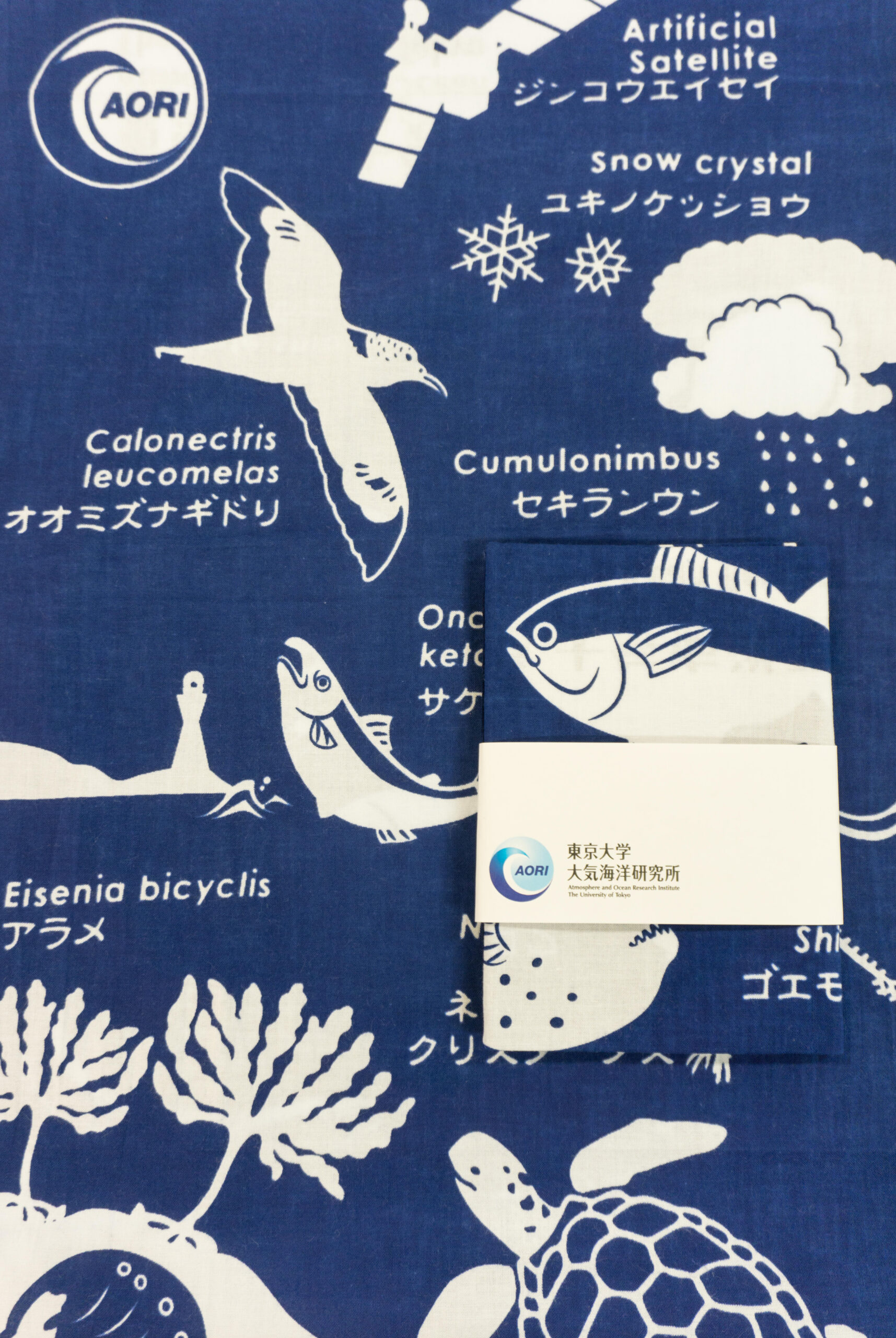 大気海洋研究所オリジナルてぬぐいを5/1よりオンラインで限定販売 — 東京大学