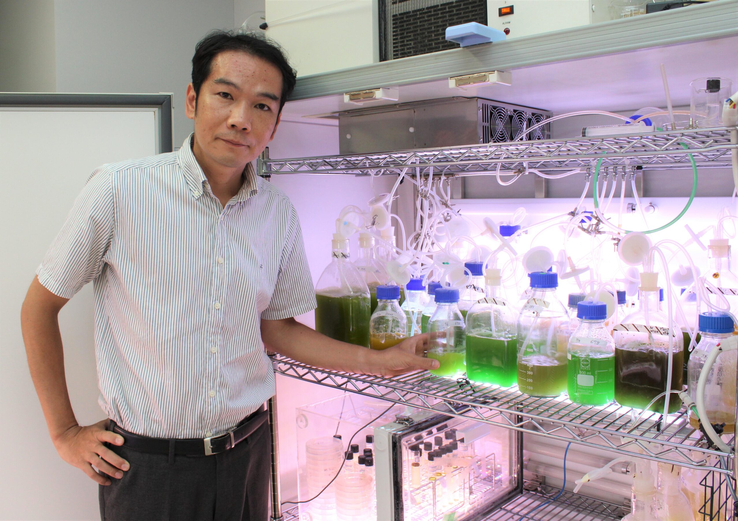 石油を作る微細藻類に遺伝子解析からアプローチ　本学ホームページ連載「研究力」№３を配信　環境工学科 河村耕史准教授–大阪工業大学