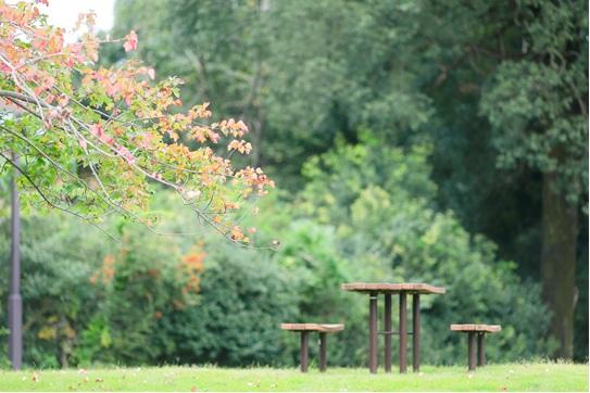 東洋英和女学院大学が2025年4月に社会連携センターを開設 ― 生涯学習センターを改組、社会連携事業と生涯学習公開講座事業の2本柱で活動を展開