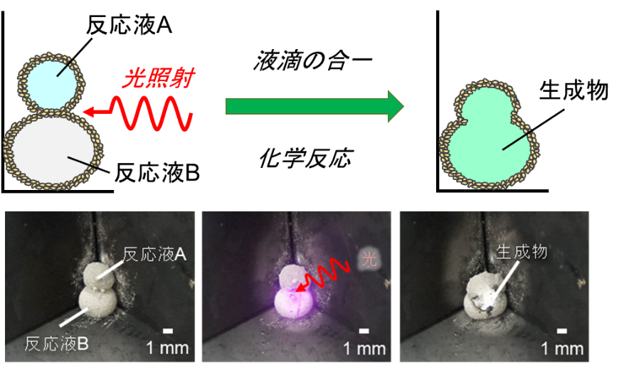 光を当てることで反応液を混ぜて反応開始！ コストと時間を削減 液滴利用のマイクロ反応容器開発 — 大阪工業大学